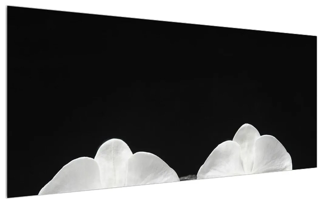 Tablou pe pânză K011709K12050 (120x50 cm), în 40 de alte dimensiuni noi