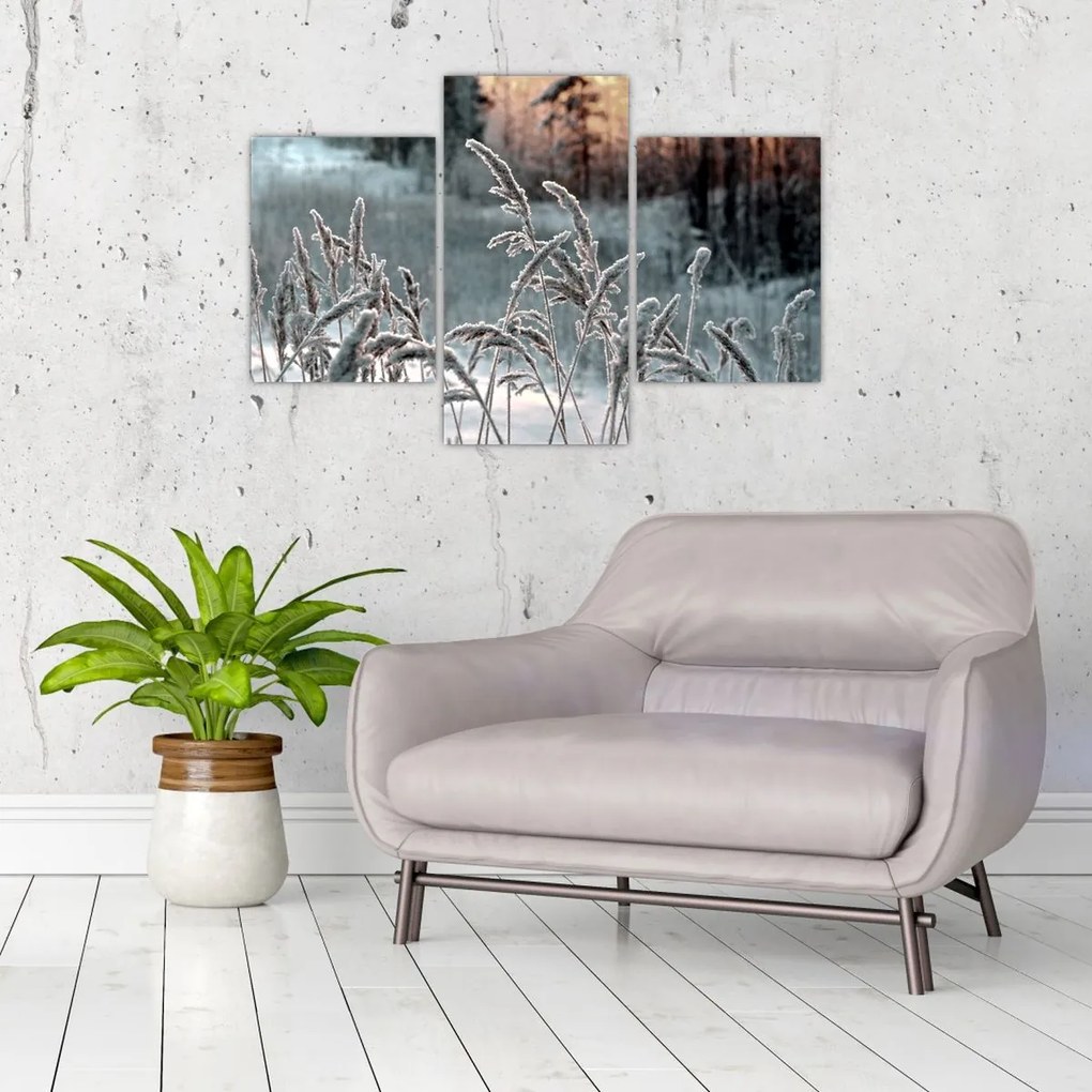 Tablou - Pajiște înghețată (90x60 cm)