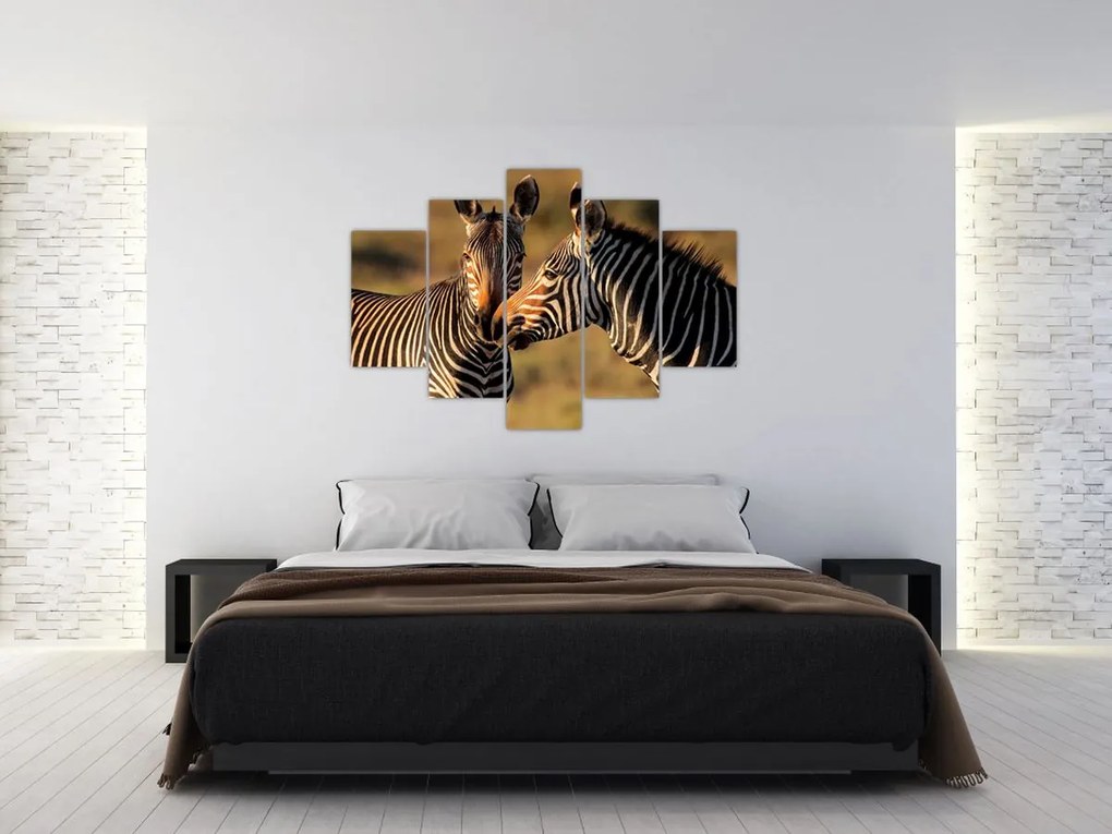 Tablou - Două zebre (150x105 cm)