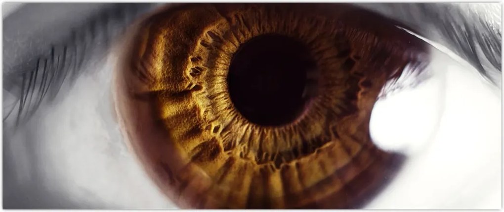 Tablou - Ochi (120x50 cm)