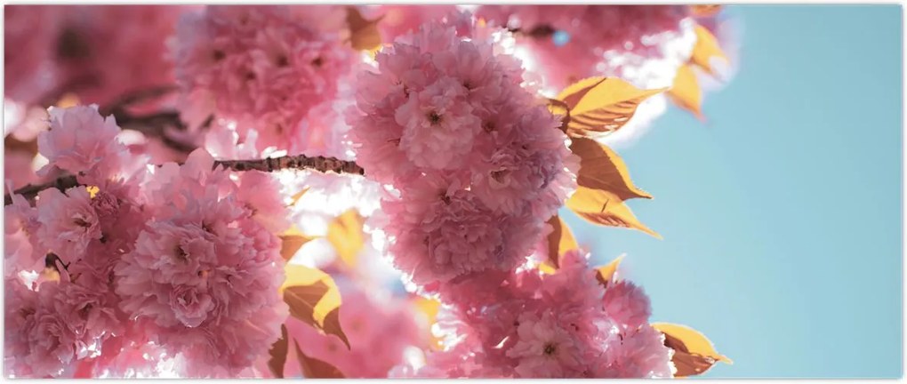 Tablou - Floare de cireș (120x50 cm)