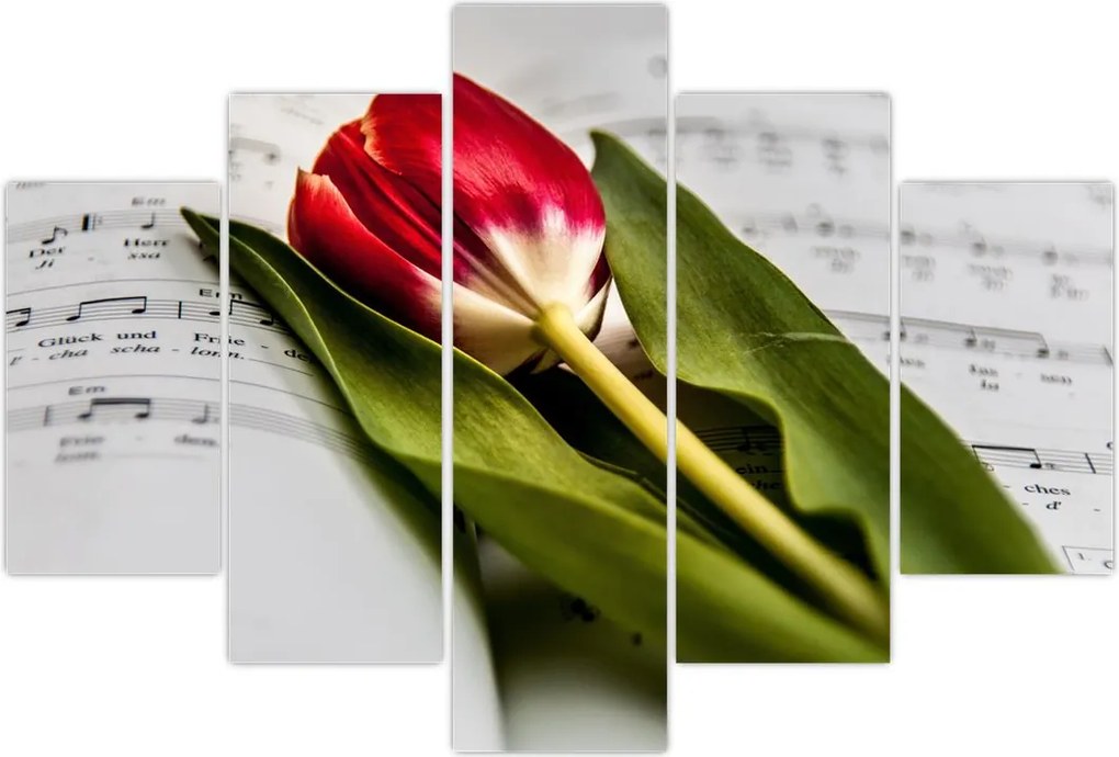 Tablou - Lalea roșie (150x105 cm)