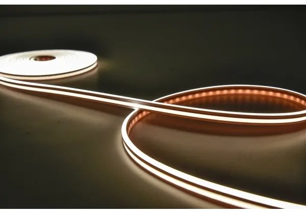 Rabalux 79021 - Bandă LED RGBW dimabilă STRIP LED/21W/230V 5 m IP67 + DO