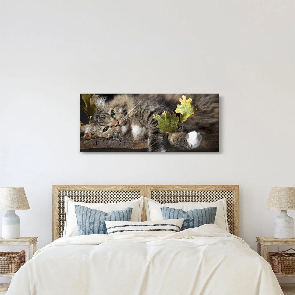 Tablou - Pisica mincinoasă (120x50 cm)