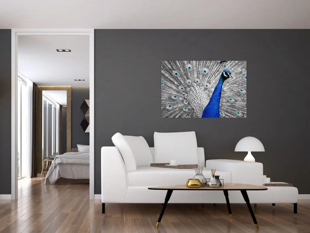 Tablou - păun albastru (90x60 cm)