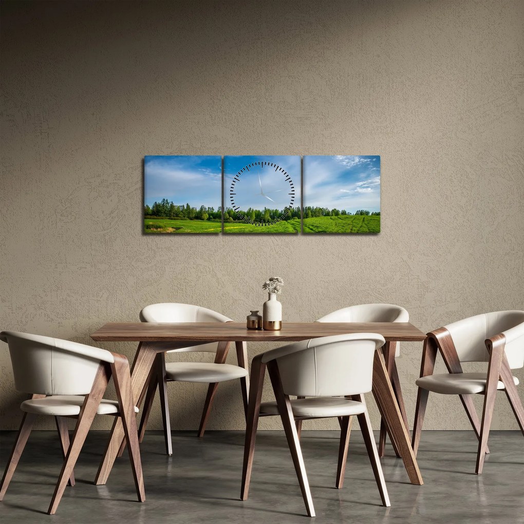 Tablou cu luncă (cu ceas) (90x30 cm)