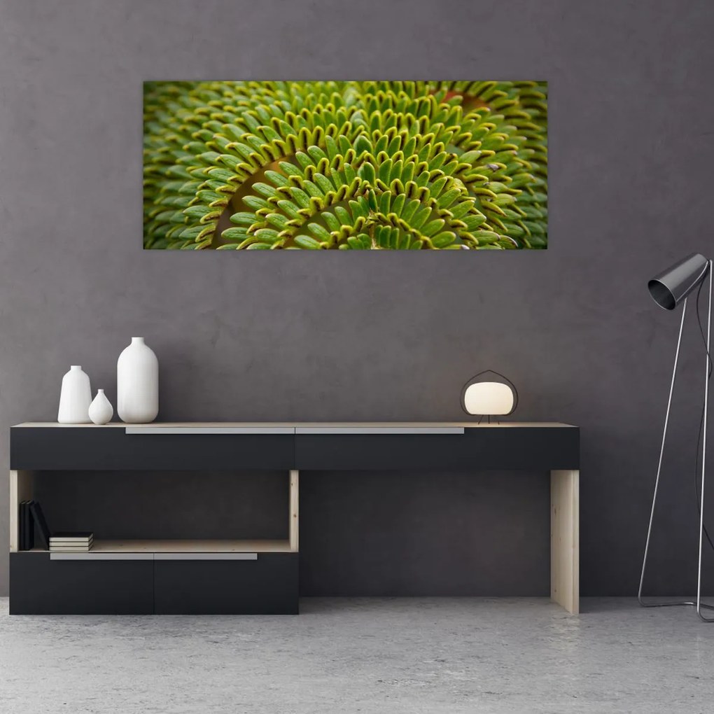 Tablou - Fern (120x50 cm)