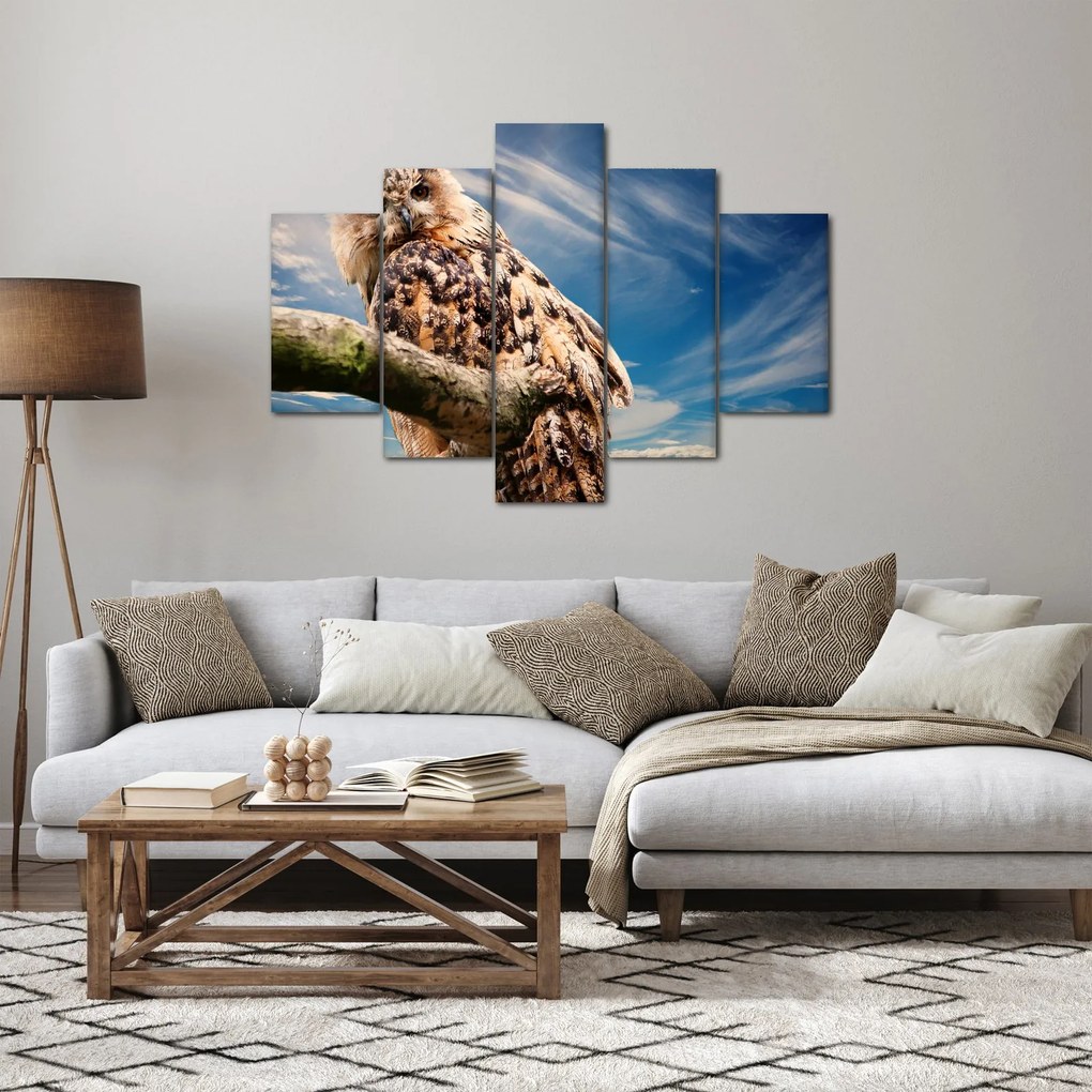 Tablou cu bufnița (150x105 cm)