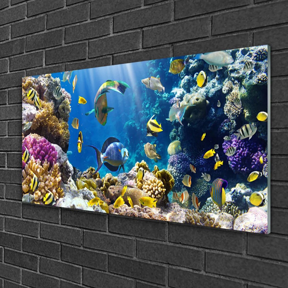 Tablouri acrilice Coral Reef Natura Multi