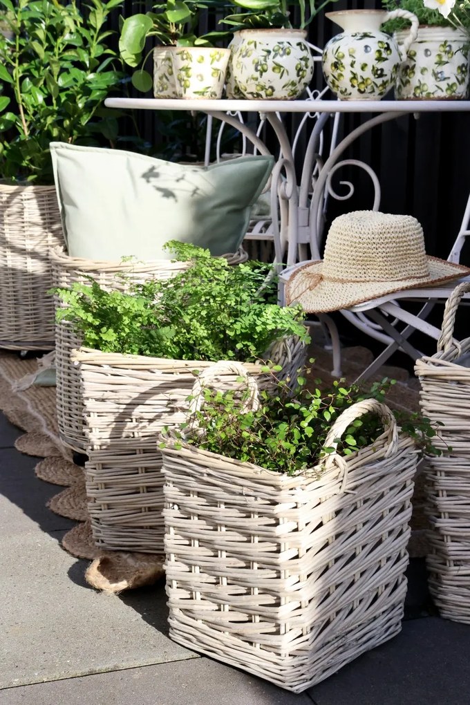 Set 3 Ghivece French Basket, Kalathi