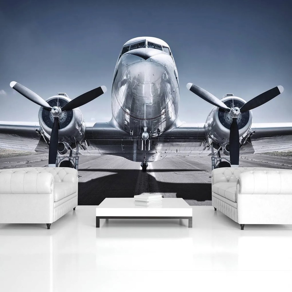 Fototapet - Avion (152,5x104 cm)