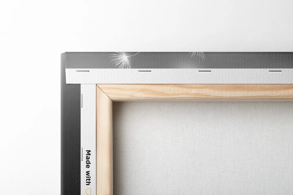 Tablou păpădie pufoasă în design alb-negru