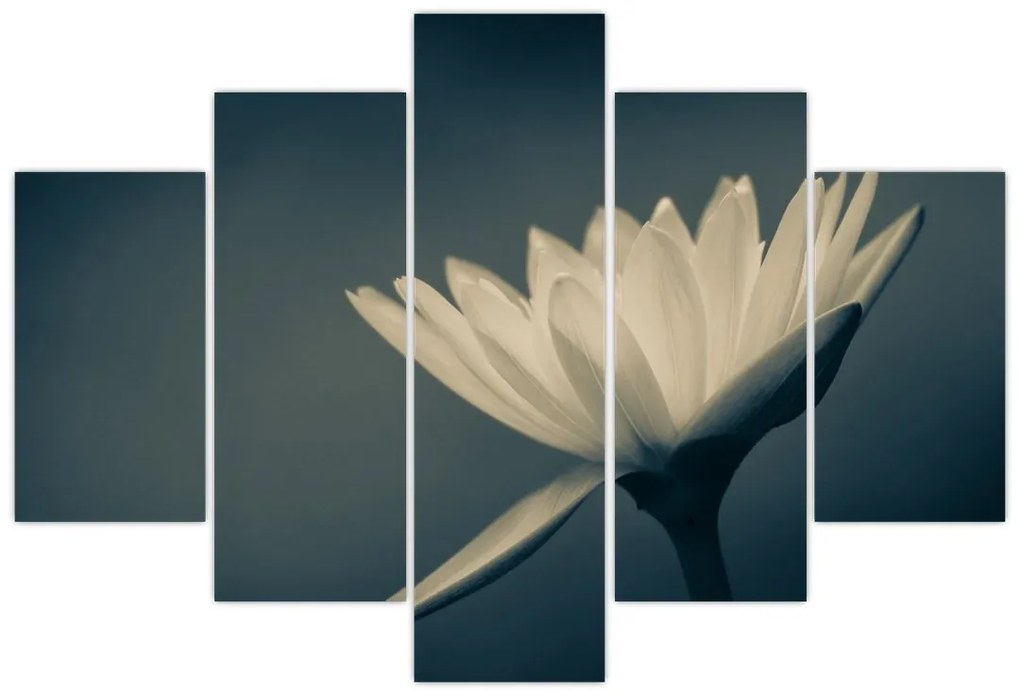 Tablou cu flori (150x105 cm)