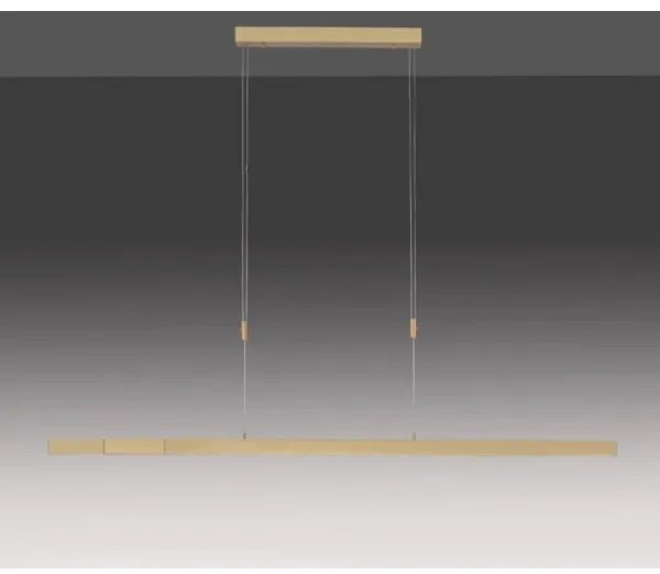 Lustră LED dimabilă pe cablu Paul Neuhaus 2568-60 ADRIANA LED/14W/230V alămie