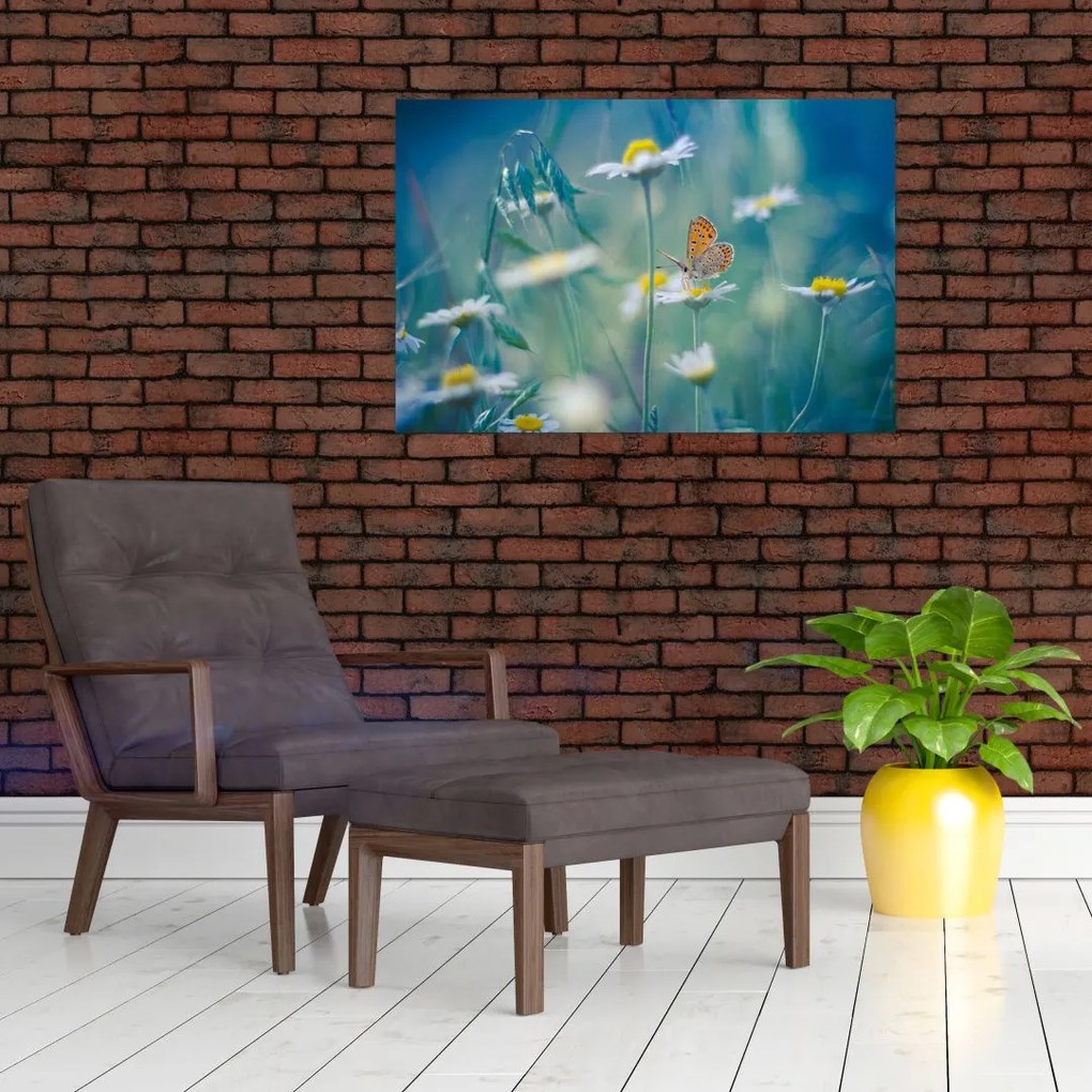 Tablou - Fluture pe margaretă (90x60 cm)