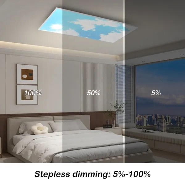 Brilagi -LED Plafonieră LED reglabilă SLIMFRAME SKY LED/80W/230V 120x60 cm argintiu/albastru+telecomandă