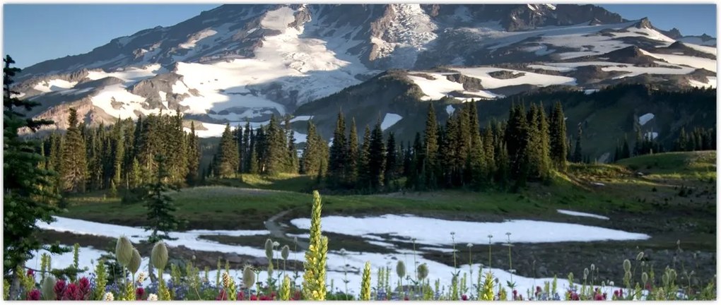 Tablou - Muntele Rainier (120x50 cm)