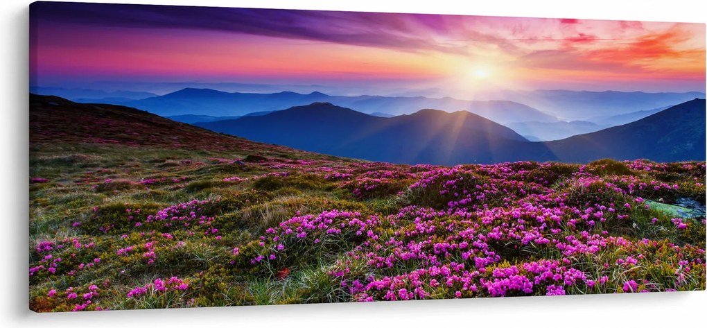 Tablou - Munte înflorit peisaj (120x50 cm)