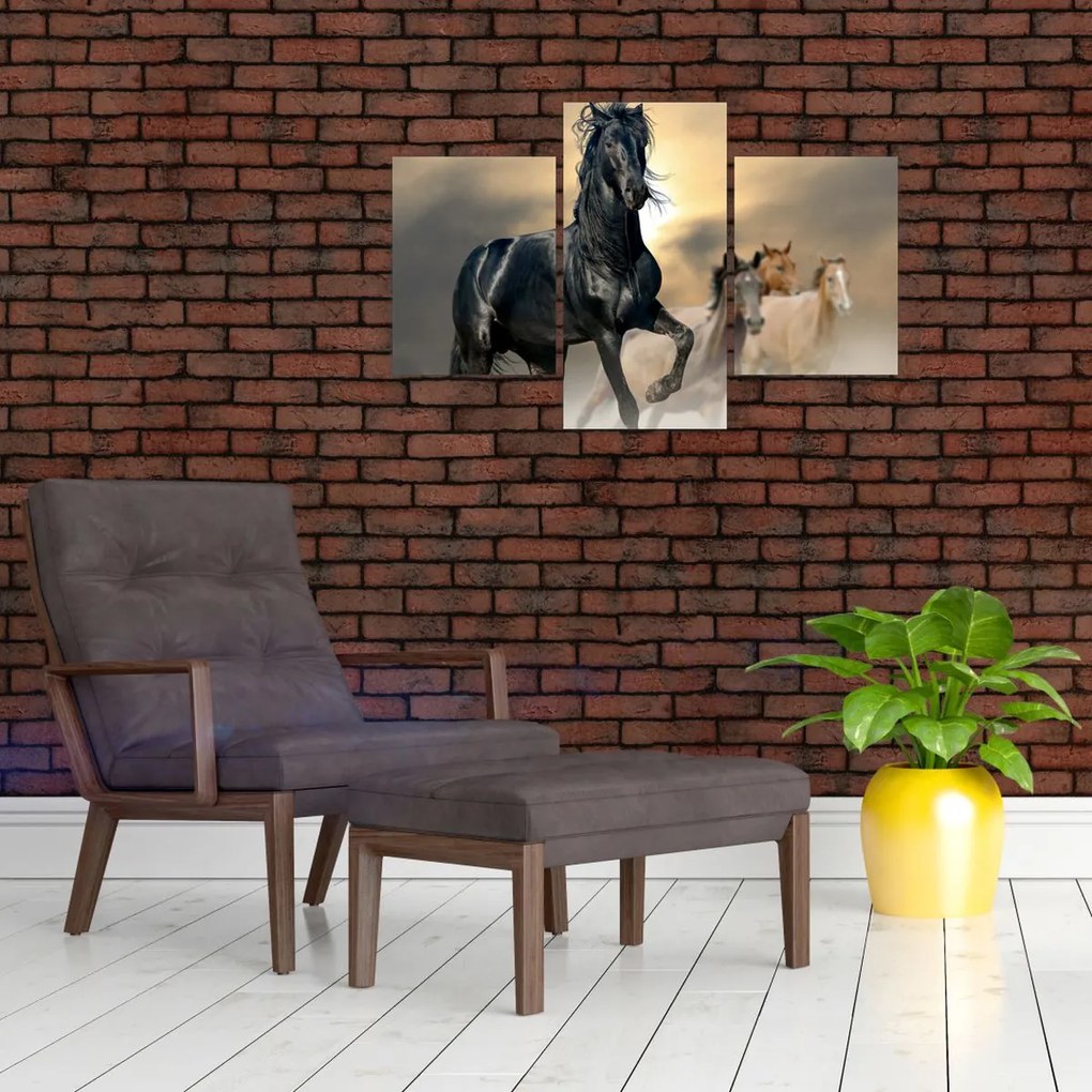 Tablou - Cai (90x60 cm)