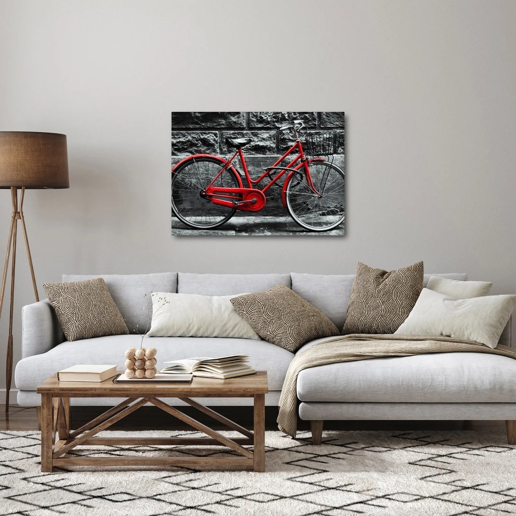 Tablou - Bicicleta istorică (70x50 cm)
