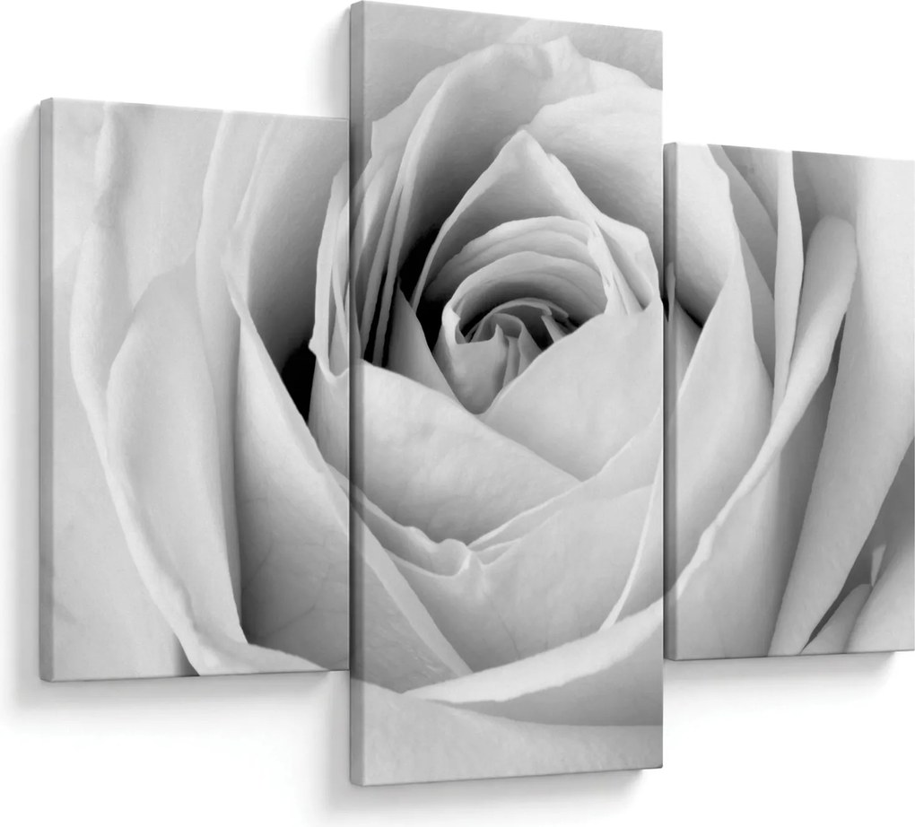 Tablou - Detailu de floare de trandafir (90x60 cm)