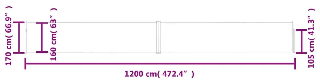 Copertina laterala retractabila de terasa antracit 170x1200 cm Antracit, 1200 x 170 cm