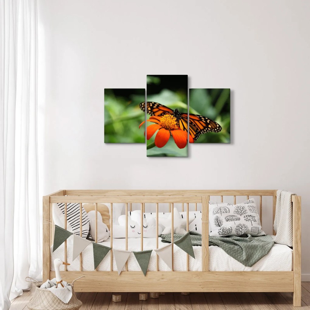Tablou cu fluture pe floare (90x60 cm)