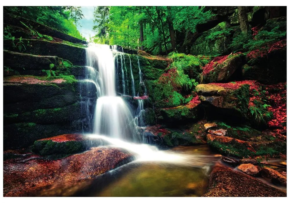 Fototapet cascada în pădure