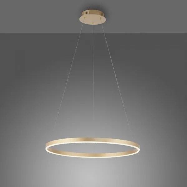 Lustră LED pe cablu dimabilă RITUS LED/28W/230V Leuchten Direkt 15394-60