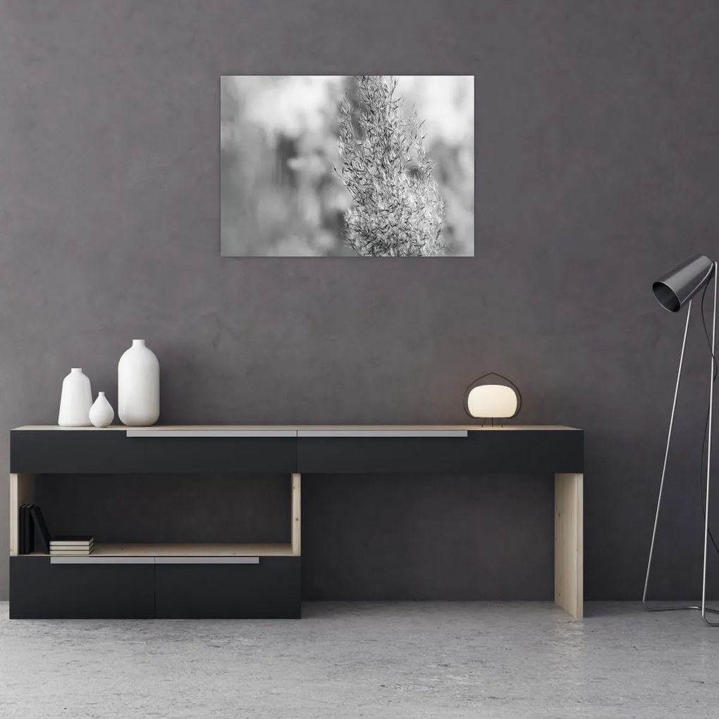 Tablou pe sticlă - Iarbă de pampas Boho (70x50 cm)