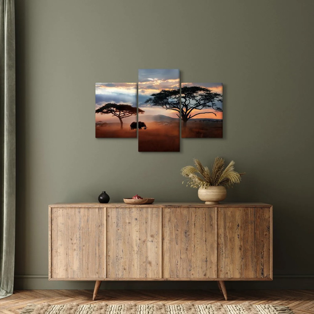 Tablou - Parcul Național Serengeti, Tanzania, Africa (90x60 cm)
