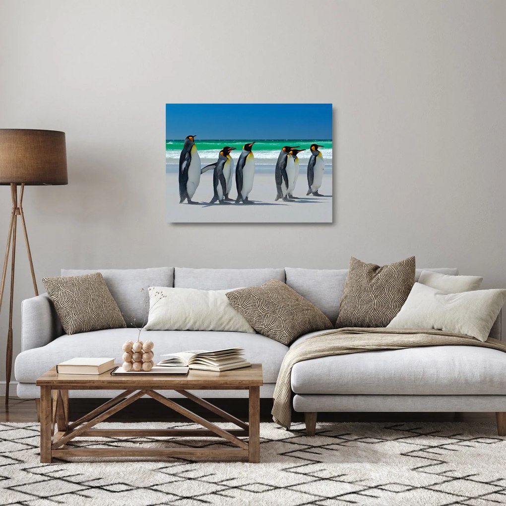 Tablou pe sticlă - Grup de pinguini regali (70x50 cm)
