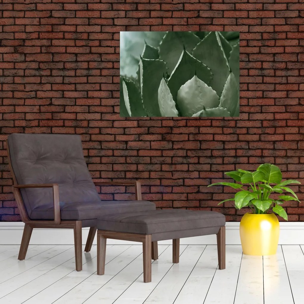 Tablou - Agave verde (70x50 cm)