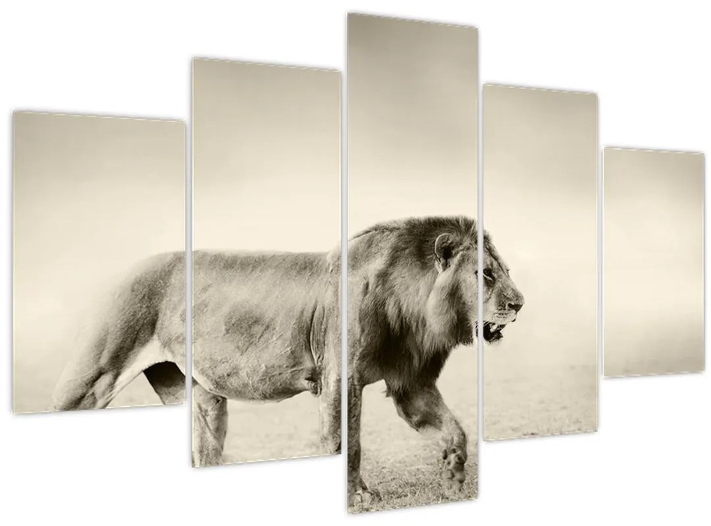 Tablou - Leul flămând (150x105 cm)