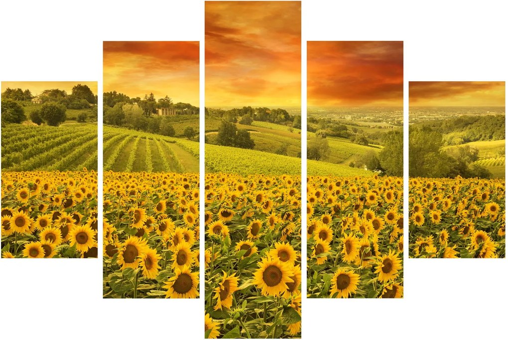 Tablou - Câmp de floarea-soarelui (150x105 cm)