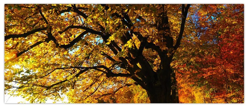 Tablou cu toamna (120x50 cm)