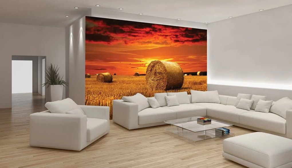 Fototapet - Câmp (152,5x104 cm)