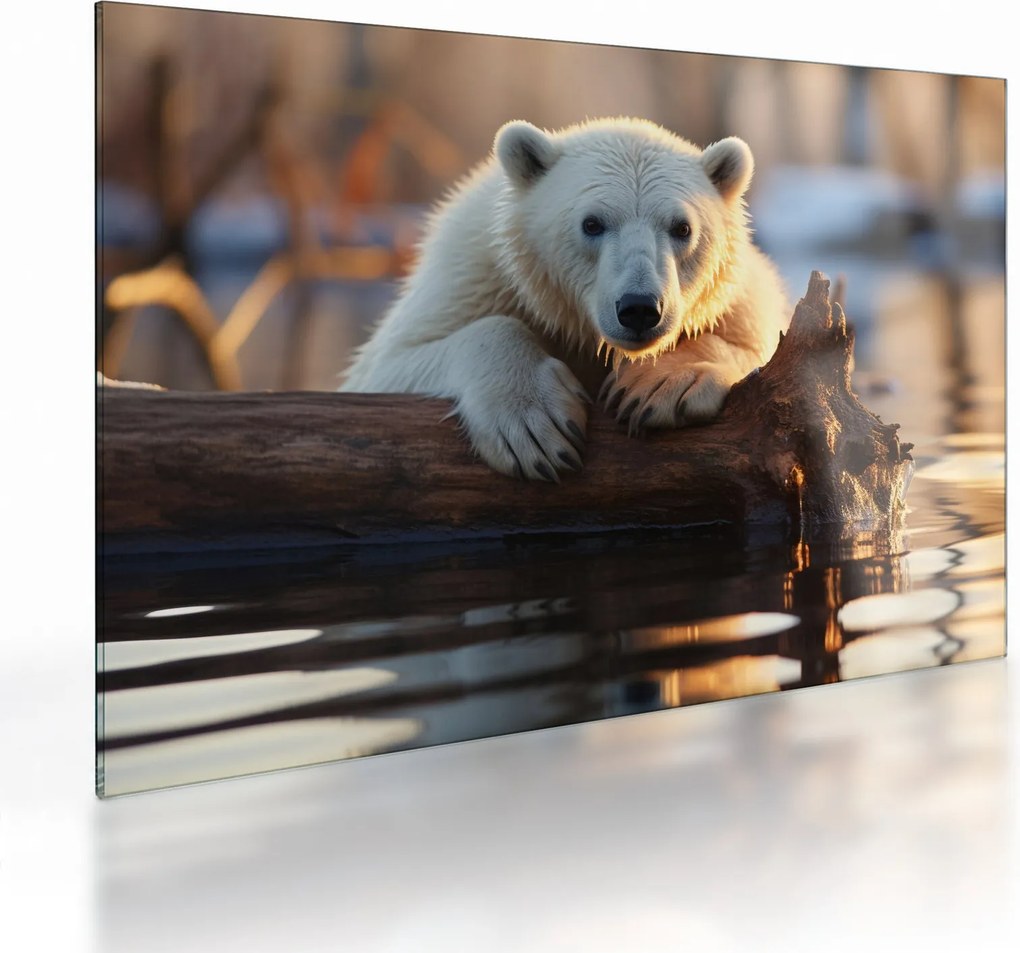 Tablou pe sticlă - Ursul polar (70x50 cm)