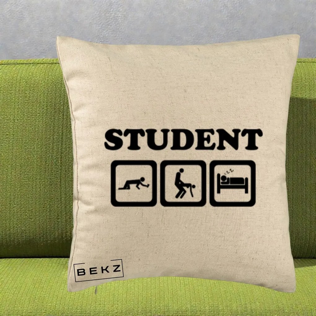 Perna Decorativa Student Life, 40x40 cm, Bej, Husa Detasabila, Perna Inclusa, BEKZ®