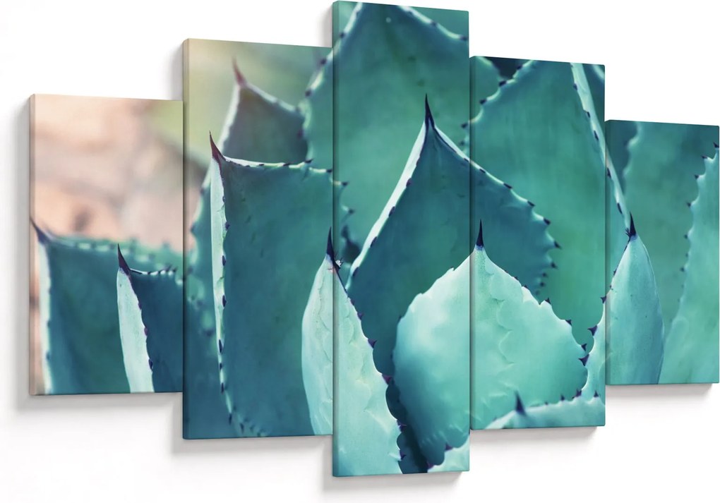 Tablou - Suculent (150x105 cm)
