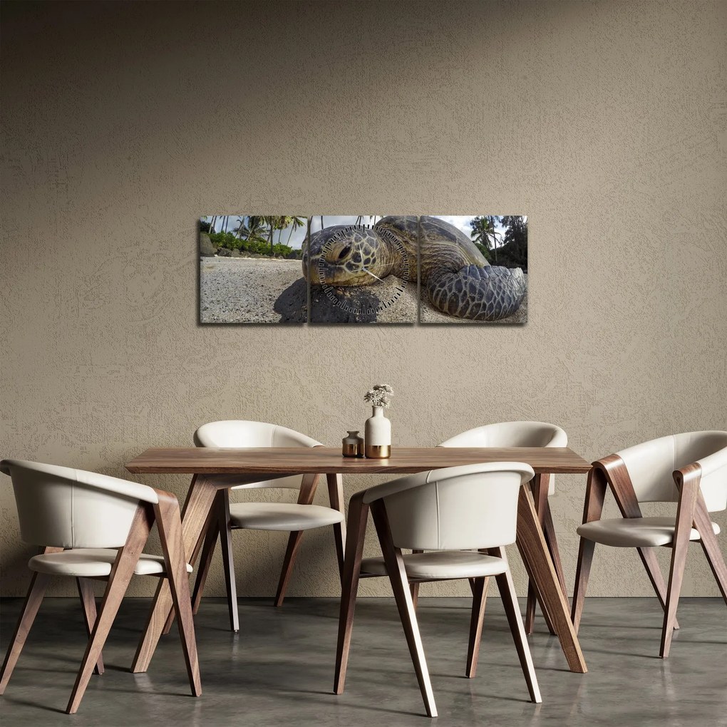 Tablou cu broască țestoasă (cu ceas) (90x30 cm)