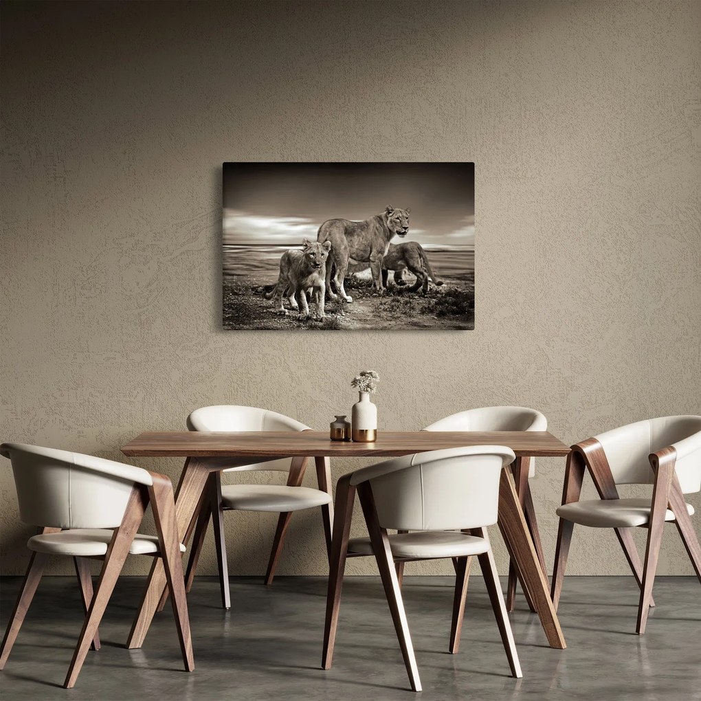 Tablou cu leii alb negri (90x60 cm)