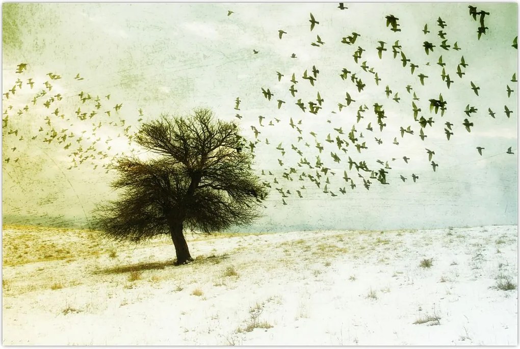 Tablou - cu multe păsări pictate (90x60 cm)