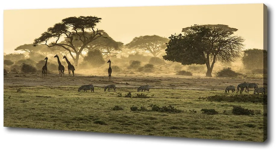 Tablou canvas Girafele pe savana