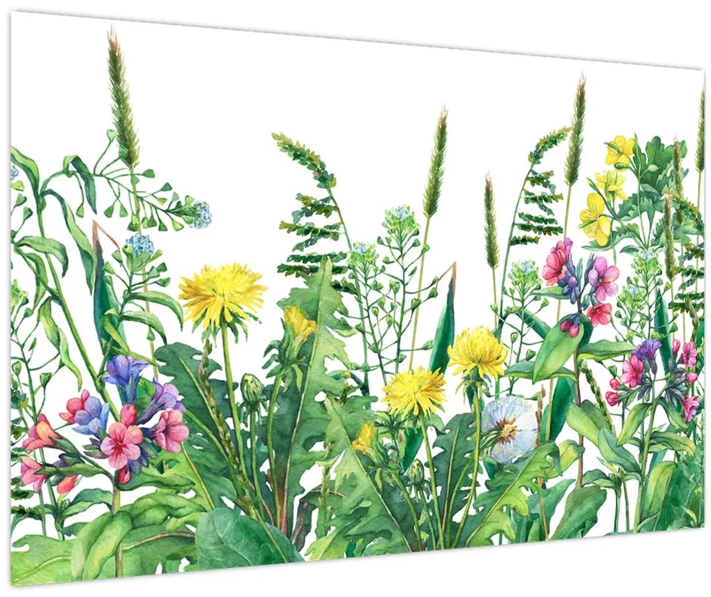 Tablou - Flori de pajiște pictate (90x60 cm)