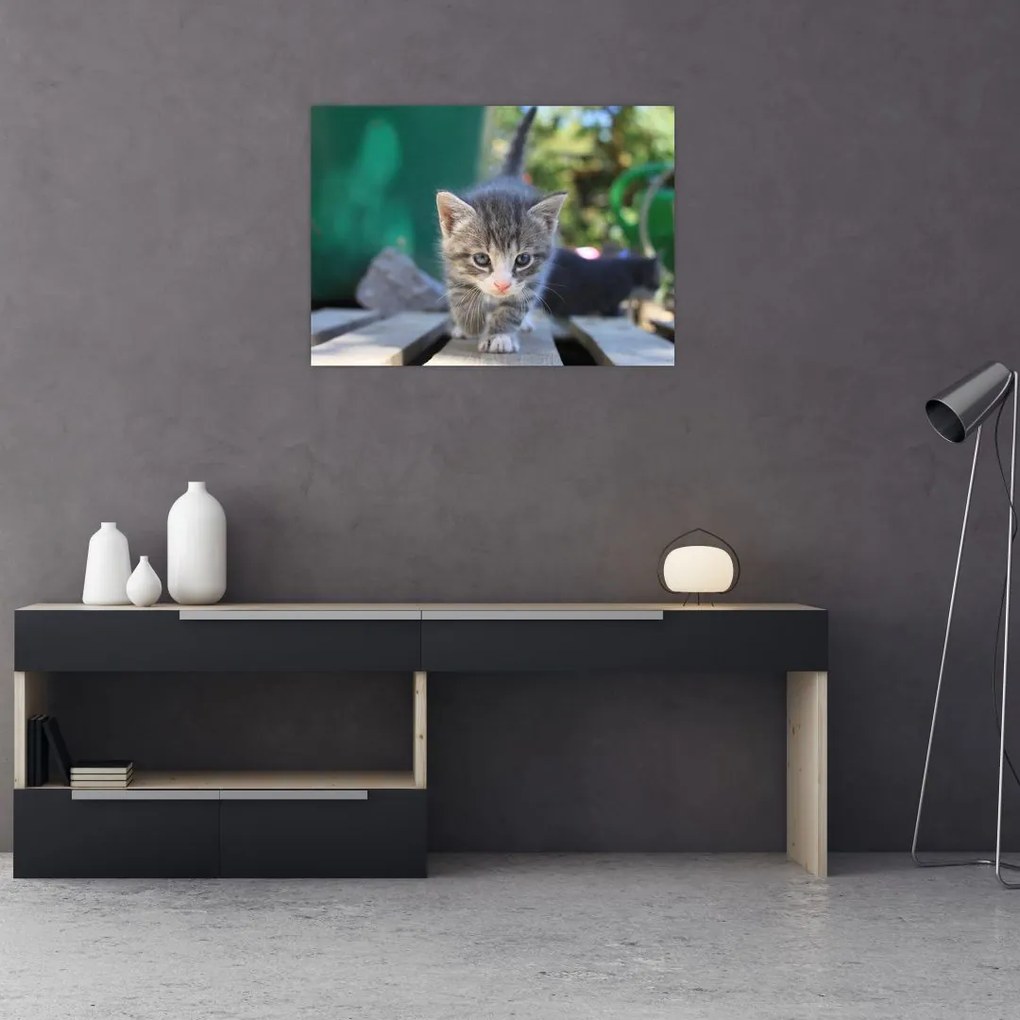 Tablou pe sticlă cu pisicuțe (70x50 cm)