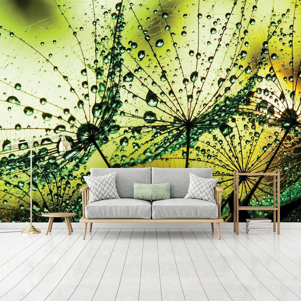 Fototapet - Păpădii - abstracte - verzi (152,5x104 cm)