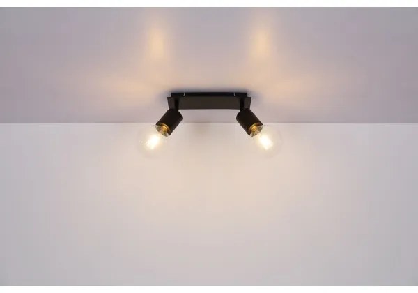 Globo 54030-2 - Lampă spot HERMINE 2xE27/60W/230V