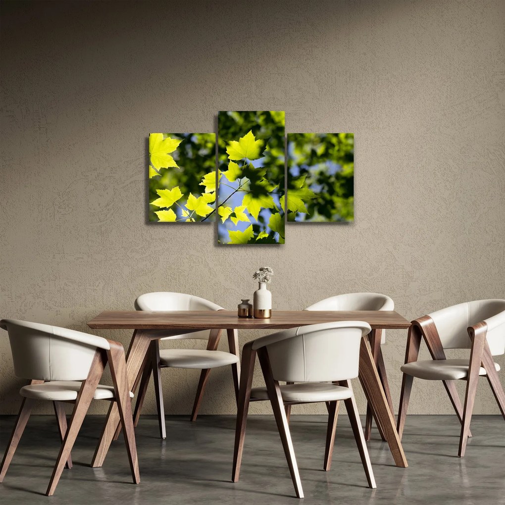 Tablou - frunze de arțar (90x60 cm)