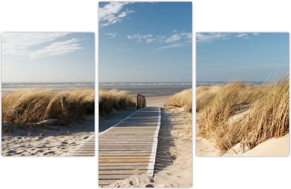 Tablou - Plaja cu nisip de pe insula Langeoog, Germania (90x60 cm)